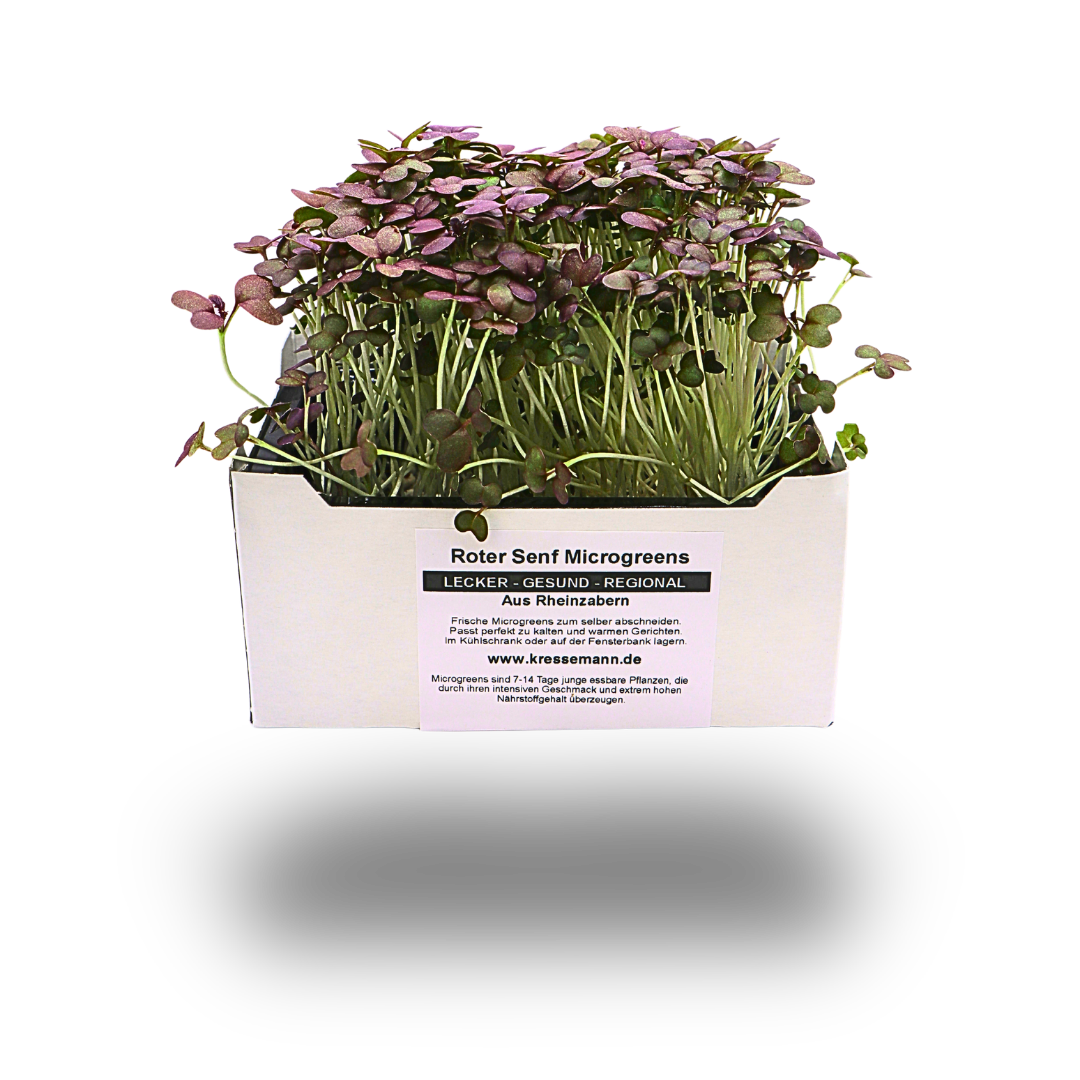Roter Senf-Kresse