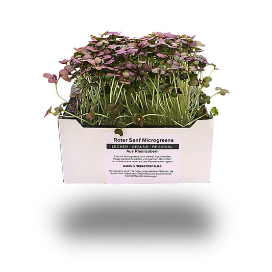 Roter Senf-Kresse