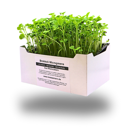 Brokkoli-Kresse