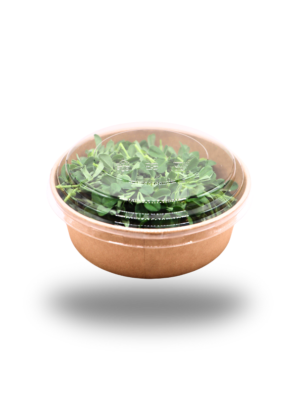 Erbsen-Microgreens ohne Ranken